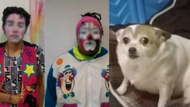 Detienen a banda de payasos secuestradores en Nezahualcóyotl