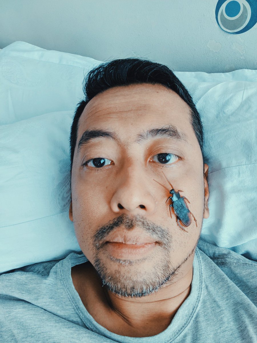 Llega el reto viral cockroach challenge