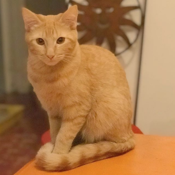 Cómo mi profesora de la universidad se convirtió en mi roomate