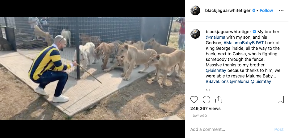 Maluma cierra su Instagram tras acusaciones de tráfico de animales
