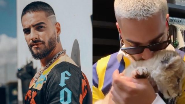 Maluma, Instagram, Tráfico Animales, Maltrato Animal, Maluma Instagram, Maluma Maltrato Animal