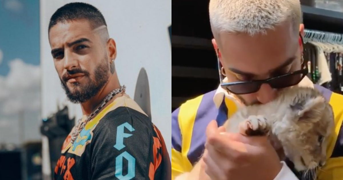 Maluma, Instagram, Tráfico Animales, Maltrato Animal, Maluma Instagram, Maluma Maltrato Animal