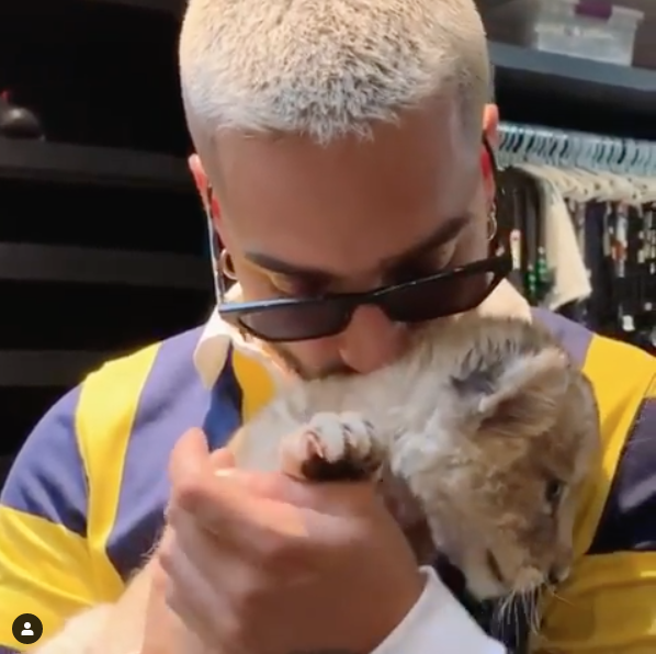 Maluma cierra su Instagram tras acusaciones de tráfico de animales