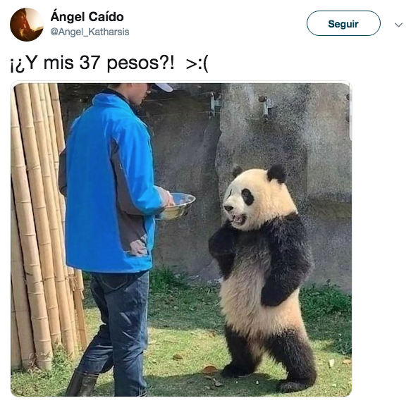 Memes de los 37 pesos