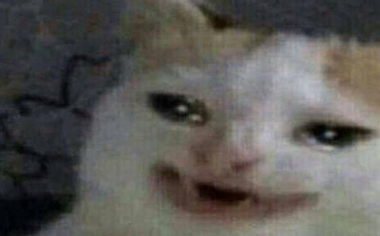 Memes del gato llorando Google