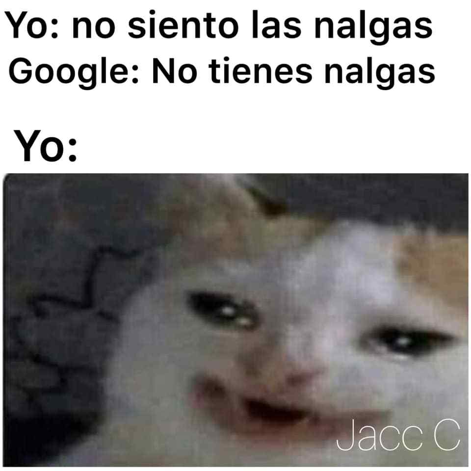 Los memes del gato llorando Google y su origen | Erizos
