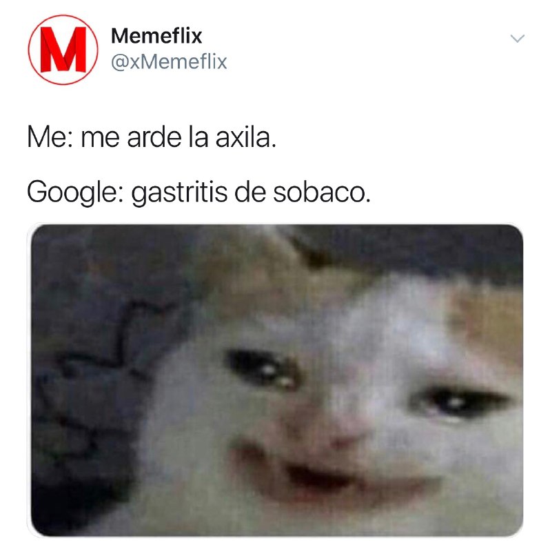 Memes del gato llorando Google