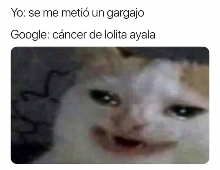 Memes del gato llorando Google
