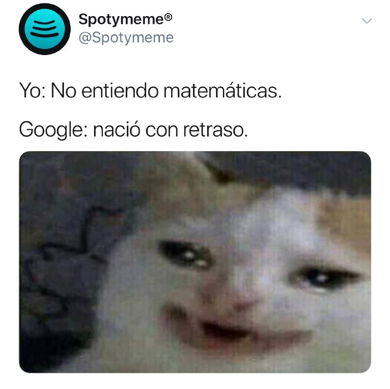 Memes del gato llorando Google