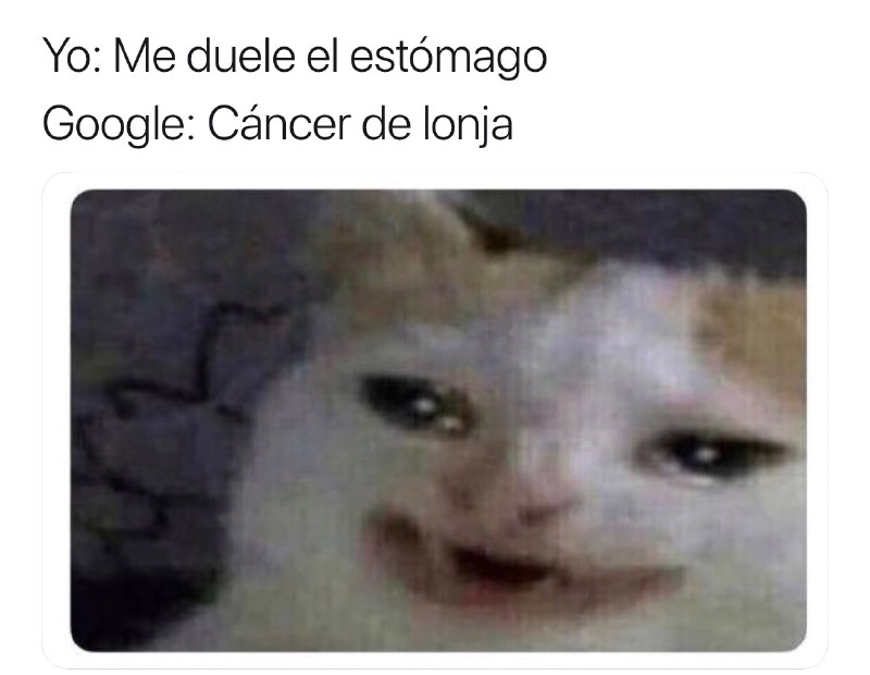 Memes del gato llorando Google