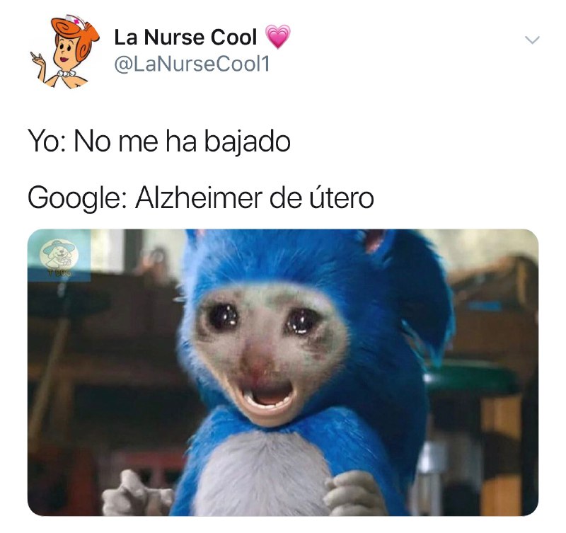 Memes del gato llorando Google