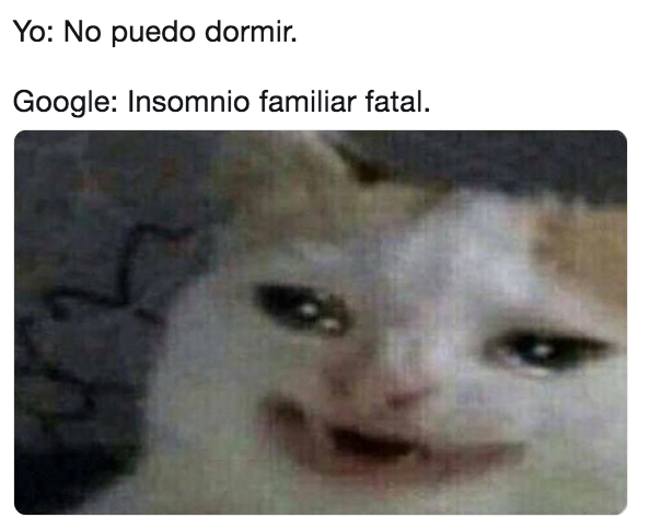 Memes del gato llorando Google