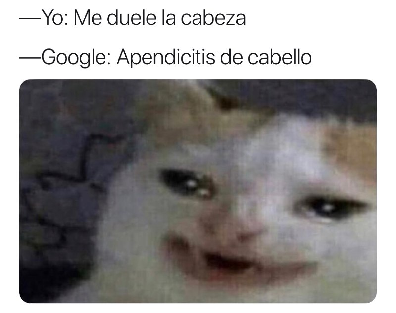 Memes del gato llorando Google