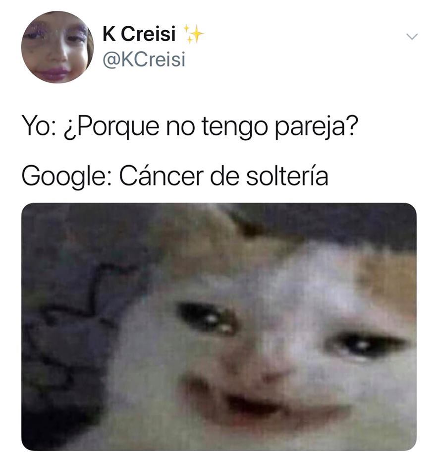 Memes del gato llorando Google