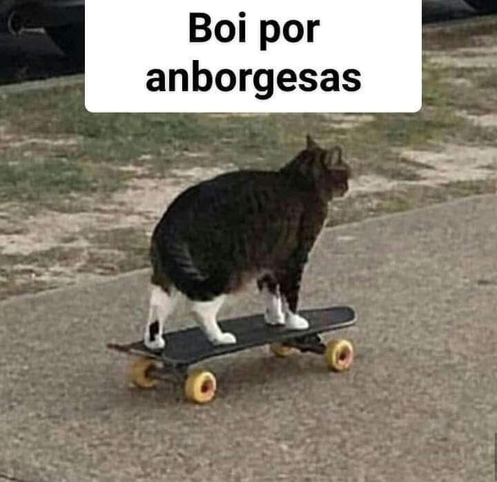 El origen y los memes de la hamburguesa