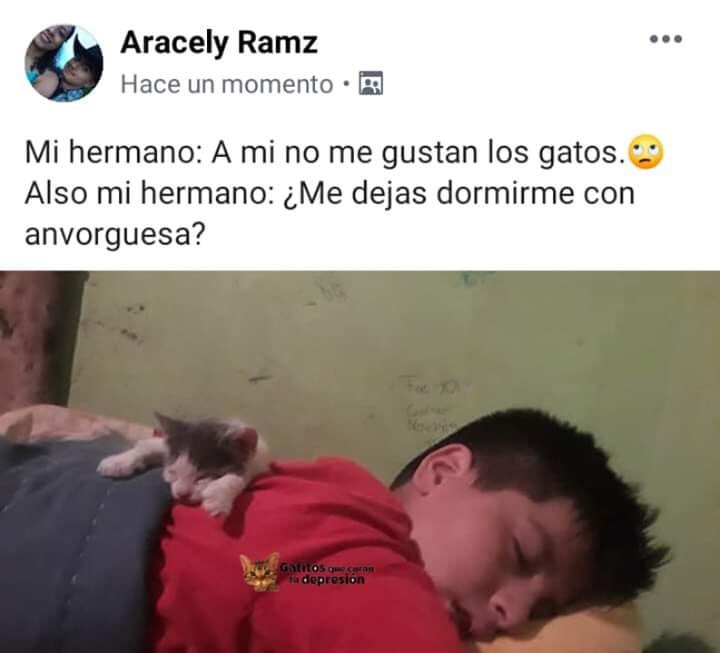 El origen y los memes de la anvorguesa