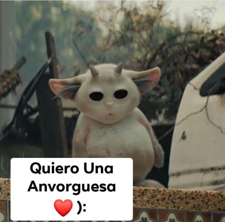El origen y los memes de la anvorguesa