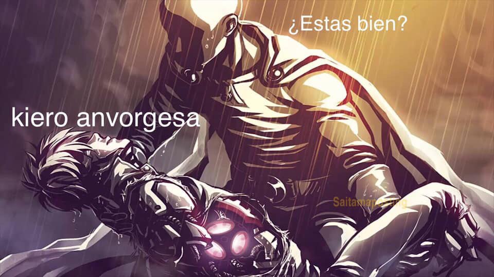 El origen y los memes de la anvorguesa