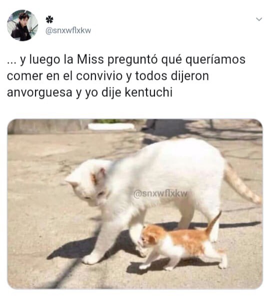 El origen y los memes de la anvorguesa