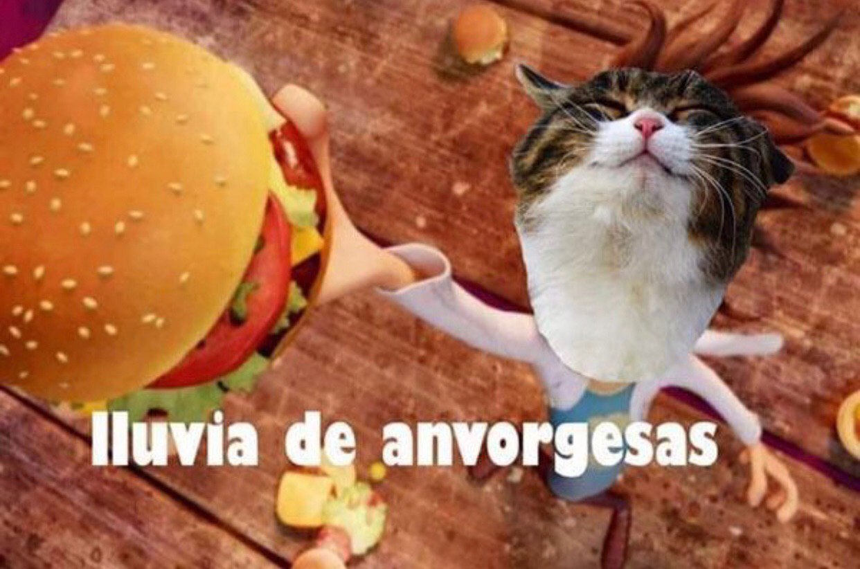 El origen y los memes de la anvorguesa