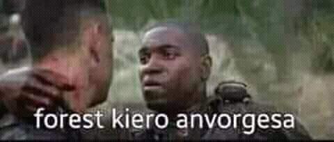 El origen y los memes de la anvorguesa