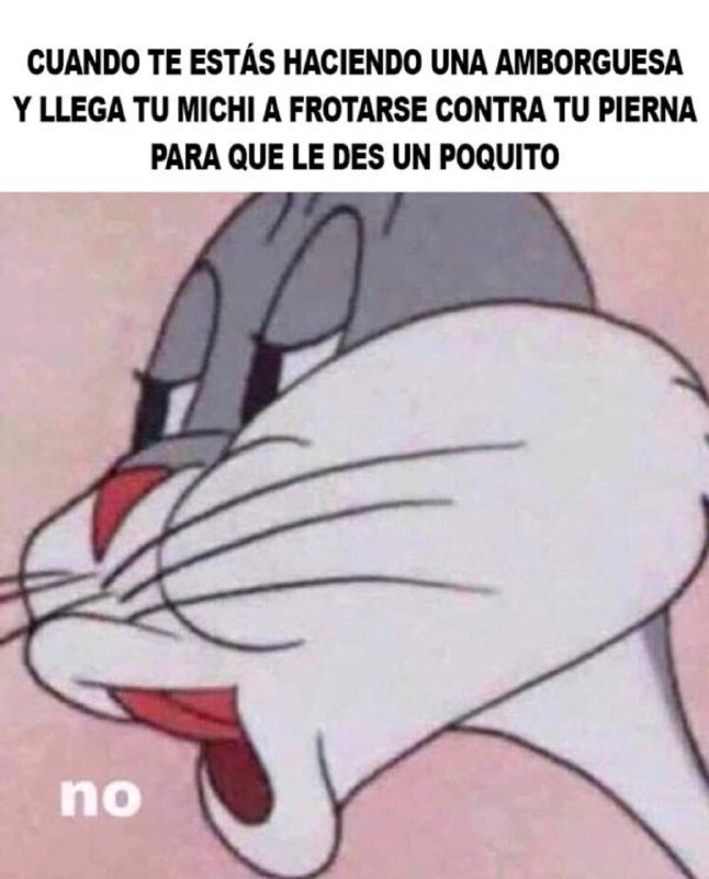 El origen y los memes de la anvorguesa