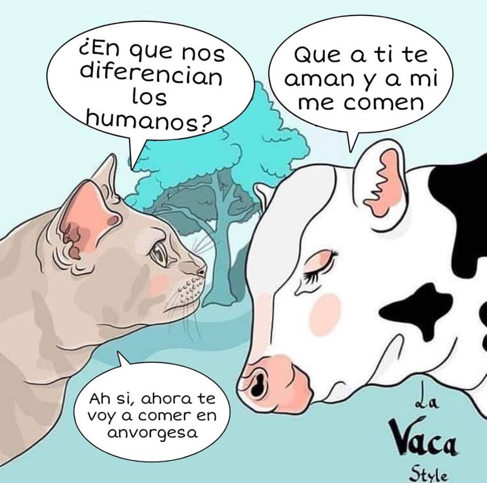 El origen y los memes de la hamburguesa