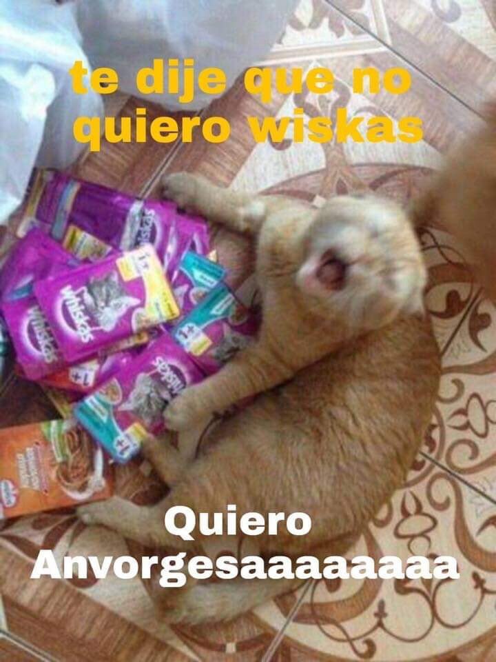 El origen y los memes de la anvorguesa