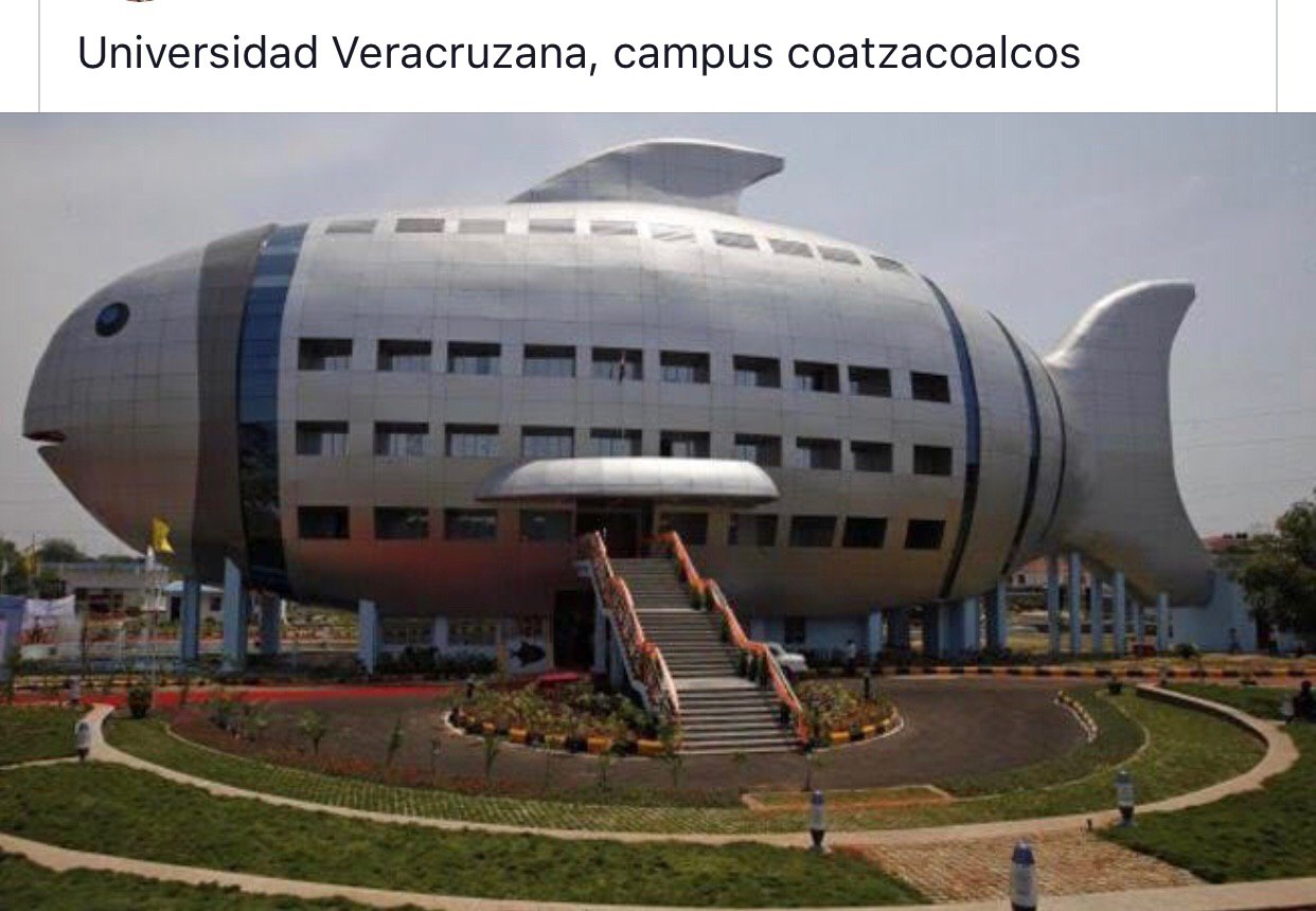 Memes de Veracruz