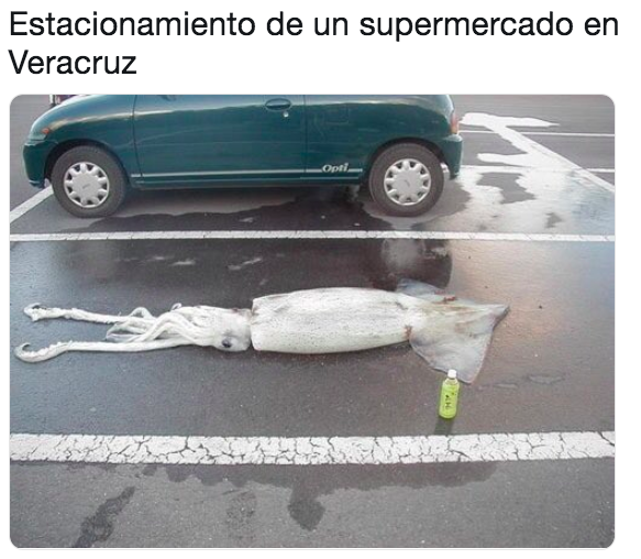 Memes de Veracruz