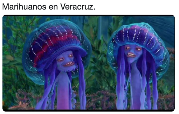 Memes de Veracruz