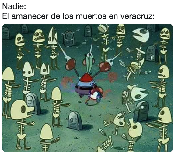Memes de Veracruz