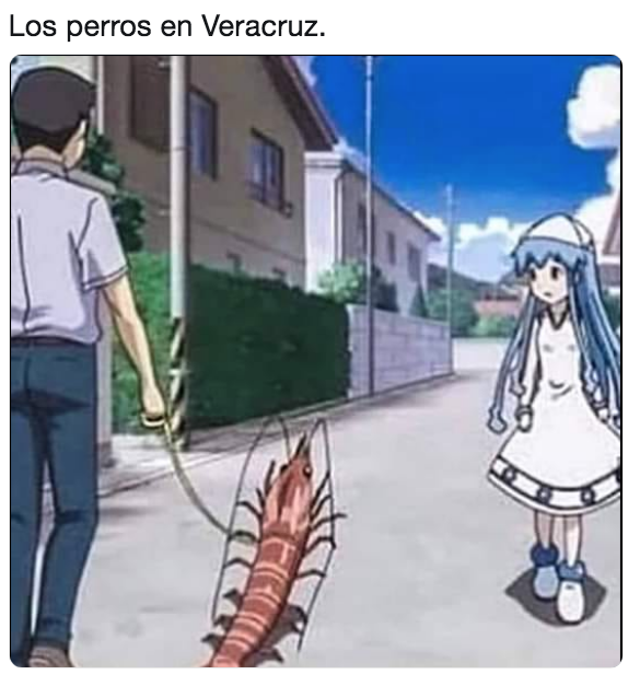 Memes de Veracruz