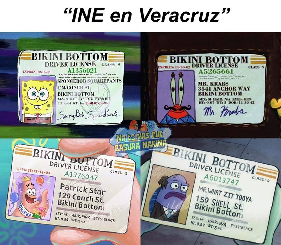 Memes de Veracruz