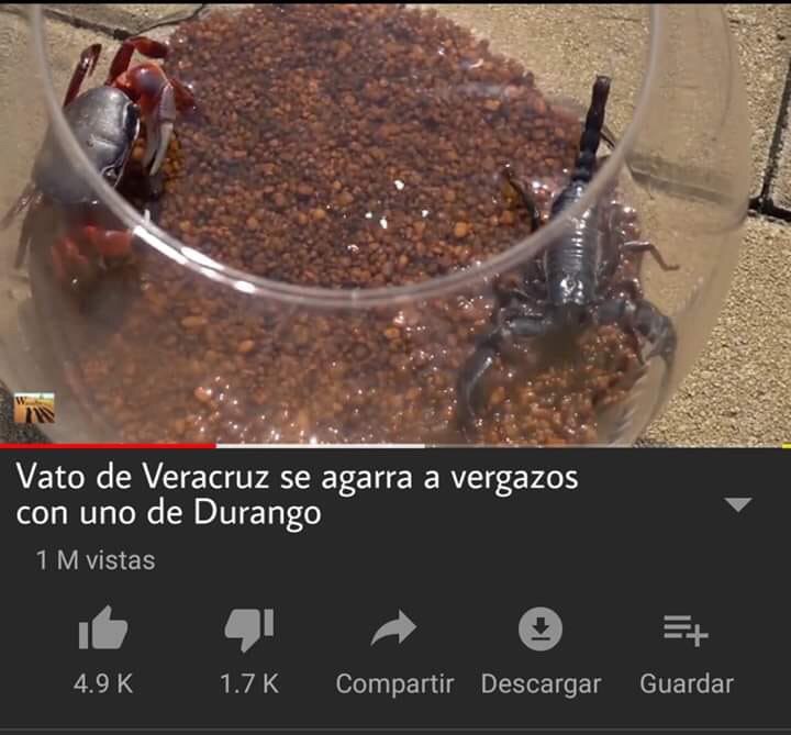 Memes de Veracruz