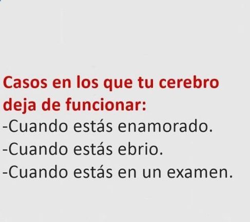 Memes por el día del estudiante 2019