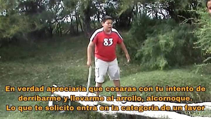 Memes escritos elegantemente y de forma correcta