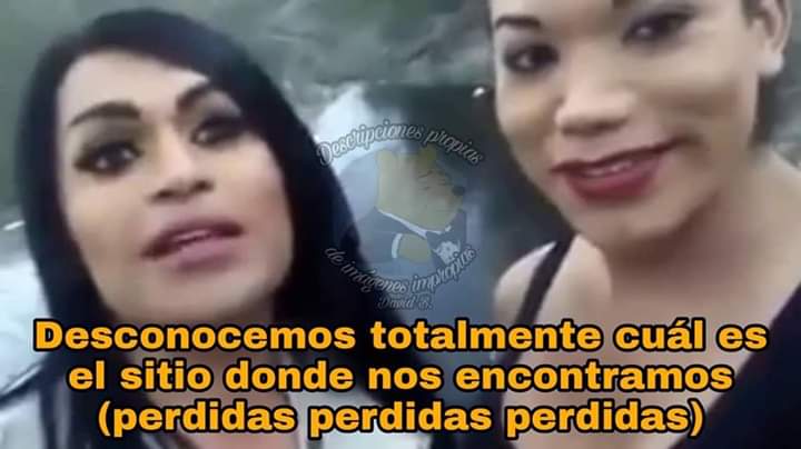 Memes escritos elegantemente y de forma correcta
