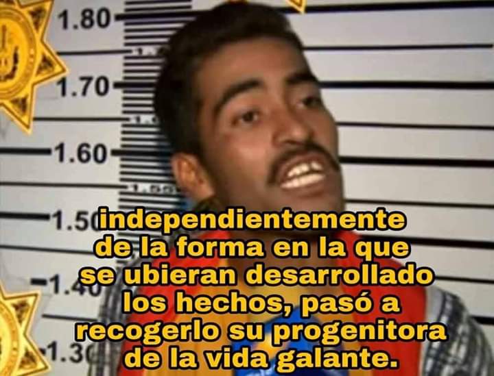 Memes escritos elegantemente y de forma correcta