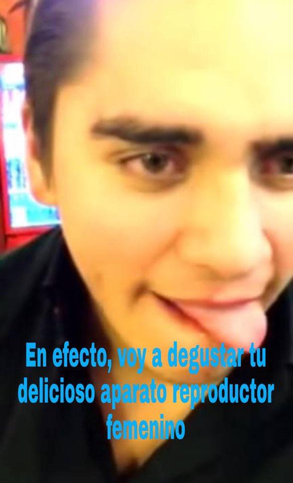 Memes escritos elegantemente y de forma correcta