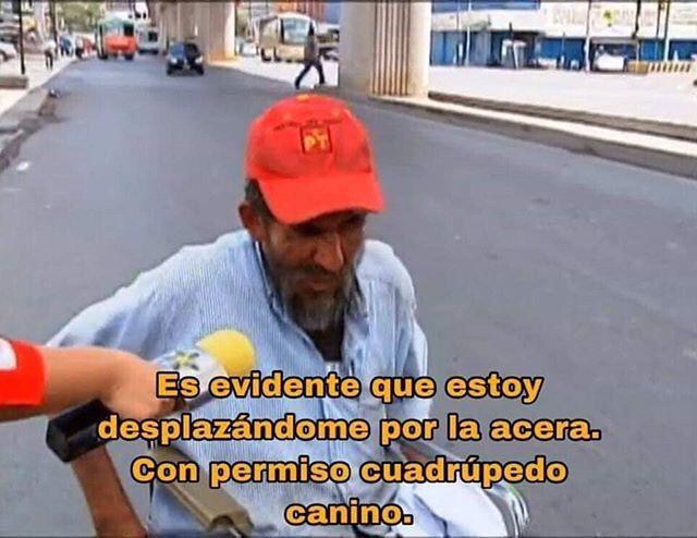 Memes escritos elegantemente y de forma correcta