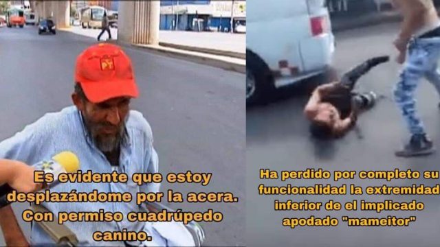 Memes escritos elegantemente y de forma correcta