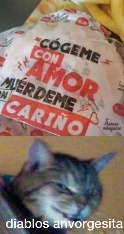 memes Michi anvorgesa