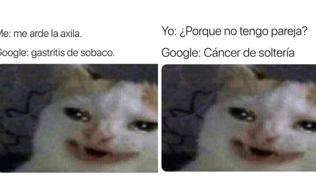 Meme Gato Llorando Google, Memes Gato, Gato Llorando, Meme Google, Meme Gato Llorando, Gato Llorando Meme Origen