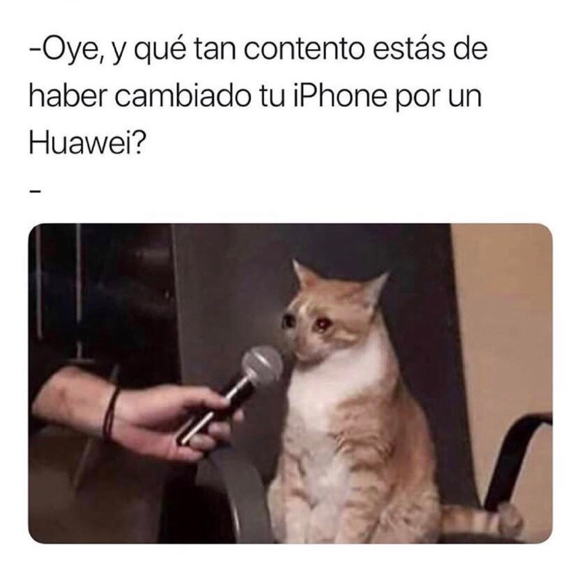 Memes de Huawei y Google