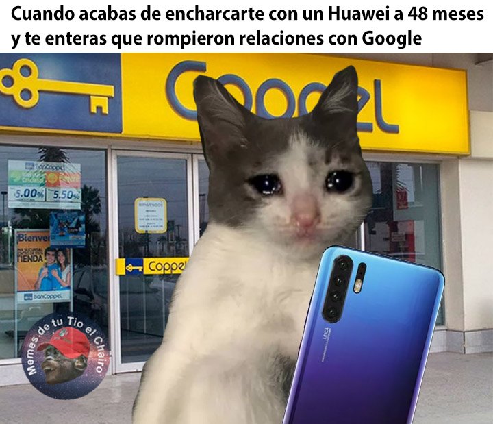 Memes de Huawei y Google