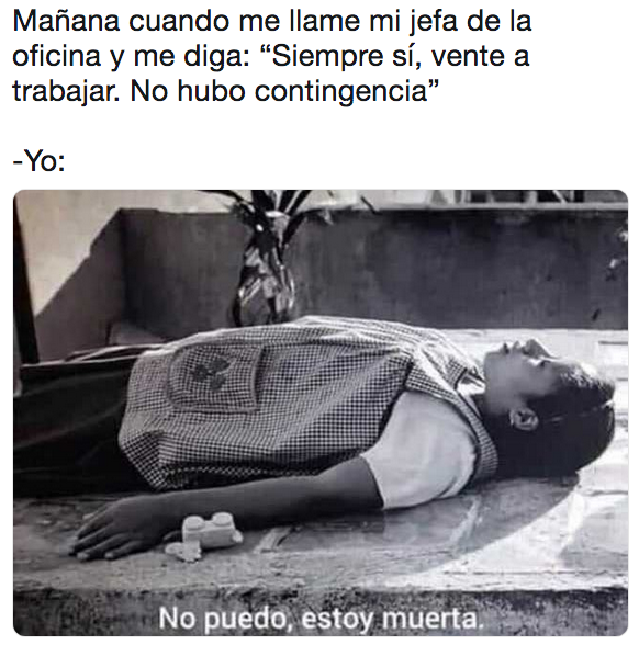 Memes para sobrevivir la contingencia ambiental en CDMX