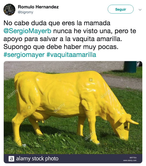 Memes de la vaquita amarilla de Sergio Mayer