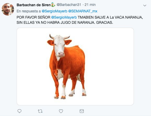 Memes de la vaquita amarilla de sergio mayer