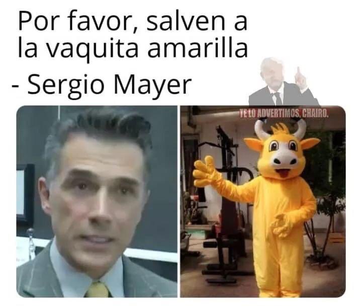 Memes de la vaquita amarilla de sergio mayer